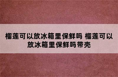 榴莲可以放冰箱里保鲜吗 榴莲可以放冰箱里保鲜吗带壳